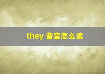 they 谐音怎么读